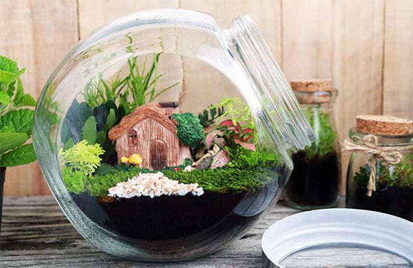 خرید تراریوم ، خرید آنلاین تراریوم ، سفارش تراریوم ، سفارش آنلاین تراریوم ، باغ شیشه ای ، طرز درست کردن تراریوم ، نور مورد نیاز تراریوم ، نور دهی تراریوم