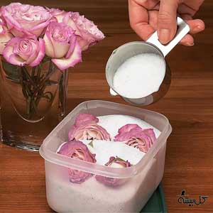 خشک کردن گل با ژل سیلیکا - خشک کردن دسته گل - گل فروشی آنلاین - خرید گل - باکس گل - سفار گل