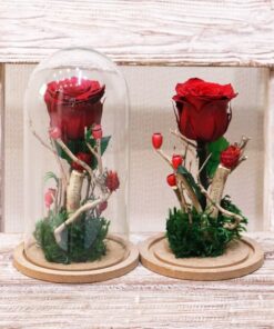 گل رز جاودان دیو و دلبر ، حباب شیشه ای گل رز جاودان ، گل دیو و دلبر ، حباب گل رز جاودان