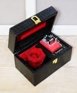 باکس گل جاودان موزیکال سوپرایزی ، جعبه گل رز موزیکال ، گل رز جاودان موزیکال ، گل جاودان
