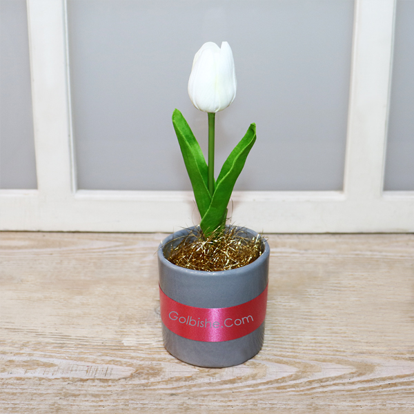 Tulip1 خرید گل لاله لمسی ، گلدان گل لاله سفید ، خرید گل لاله سفید ، خرید گل لاله لمسی مصنوعی