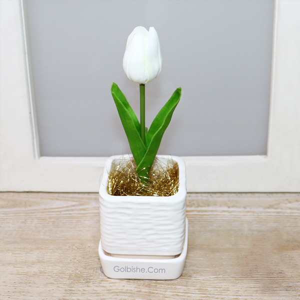 Tulip3 خرید گل لاله لمسی ، گلدان گل لاله سفید ، خرید گل لاله سفید ، خرید گل لاله لمسی مصنوعی
