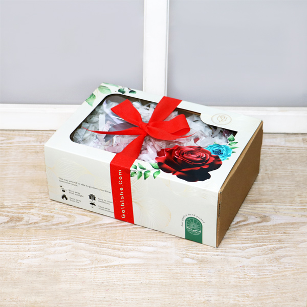 Kit1 خرید کیت کاشت گیاه ، خرید هدیه خاص گیاه ، خرید هدیه سازمانی ، خرید بذر گل میخک