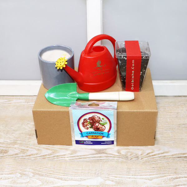 Kit2 خرید کیت کاشت گیاه ، خرید هدیه خاص گیاه ، خرید هدیه سازمانی ، خرید بذر گل میخک