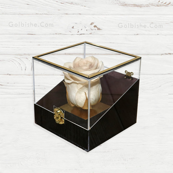 wh1 خرید رز جاودان سفید ، خرید گل جاودان ، خرید آنلاین رز جاودان ، سفارش گل جاودان