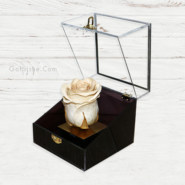 wh2 خرید رز جاودان سفید ، خرید گل جاودان ، خرید آنلاین رز جاودان ، سفارش گل جاودان