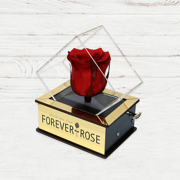 goldKok2 خرید آنلاین گل رز جاودان موزیکال ، سفارش آنلاین گل جاودان موزیکال ، خرید جعبه موزیکال گل